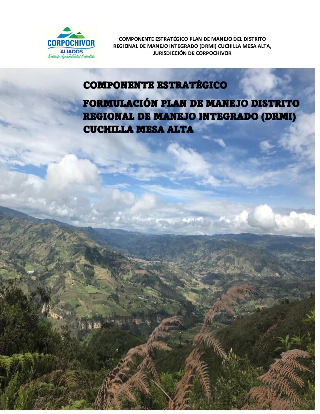 DOCUMENTO COMPONENTE ESTRATÉGICO-DRMI Cuchilla Mesa Alta