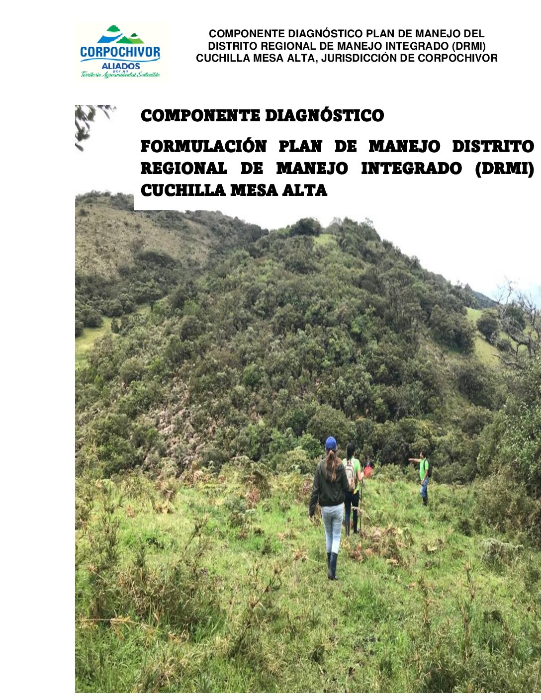 DOCUMENTO DIAGNÓSTICO – DRMI Cuchilla Mesa Alta