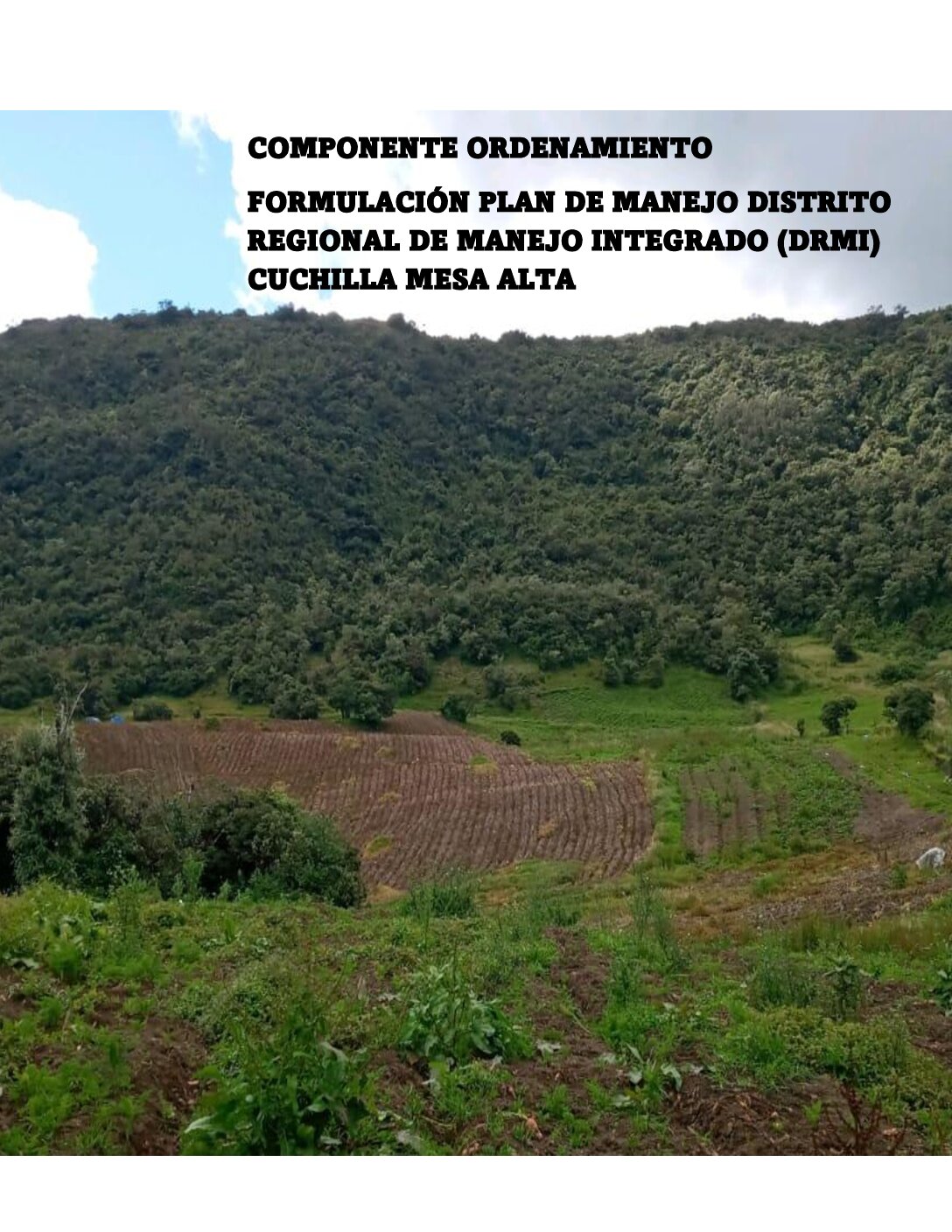DOCUMENTO ORDENAMIENTO-DRMI Cuchilla Mesa Alta