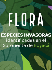 flora-cartilla-1